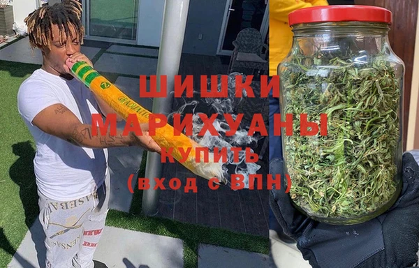 PSILOCYBIN Белокуриха