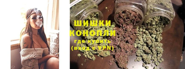 PSILOCYBIN Белокуриха