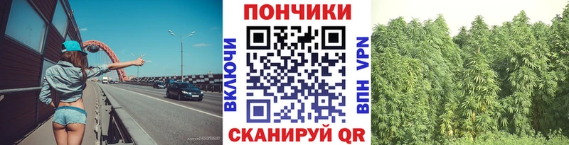 Бошки марихуана Bruce Banner  Кологрив 